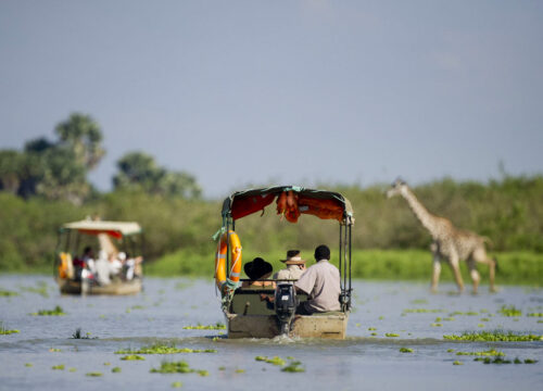 TANZANIA SAFARI NYERERE