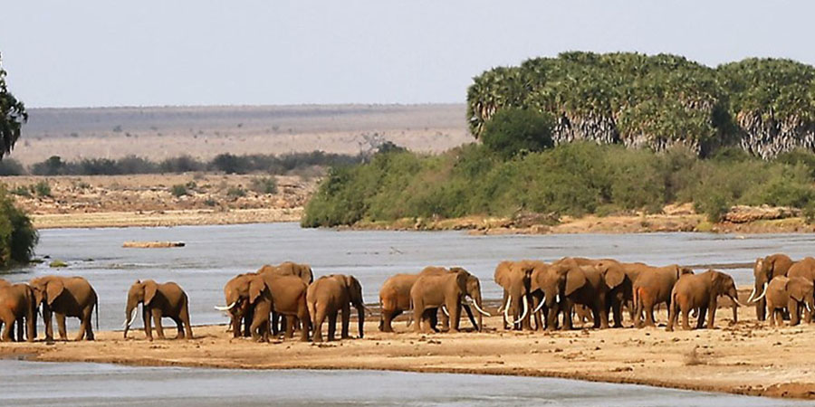🦓 Best Time to Visit Tanzania for Safari – Month-by-Month Guide