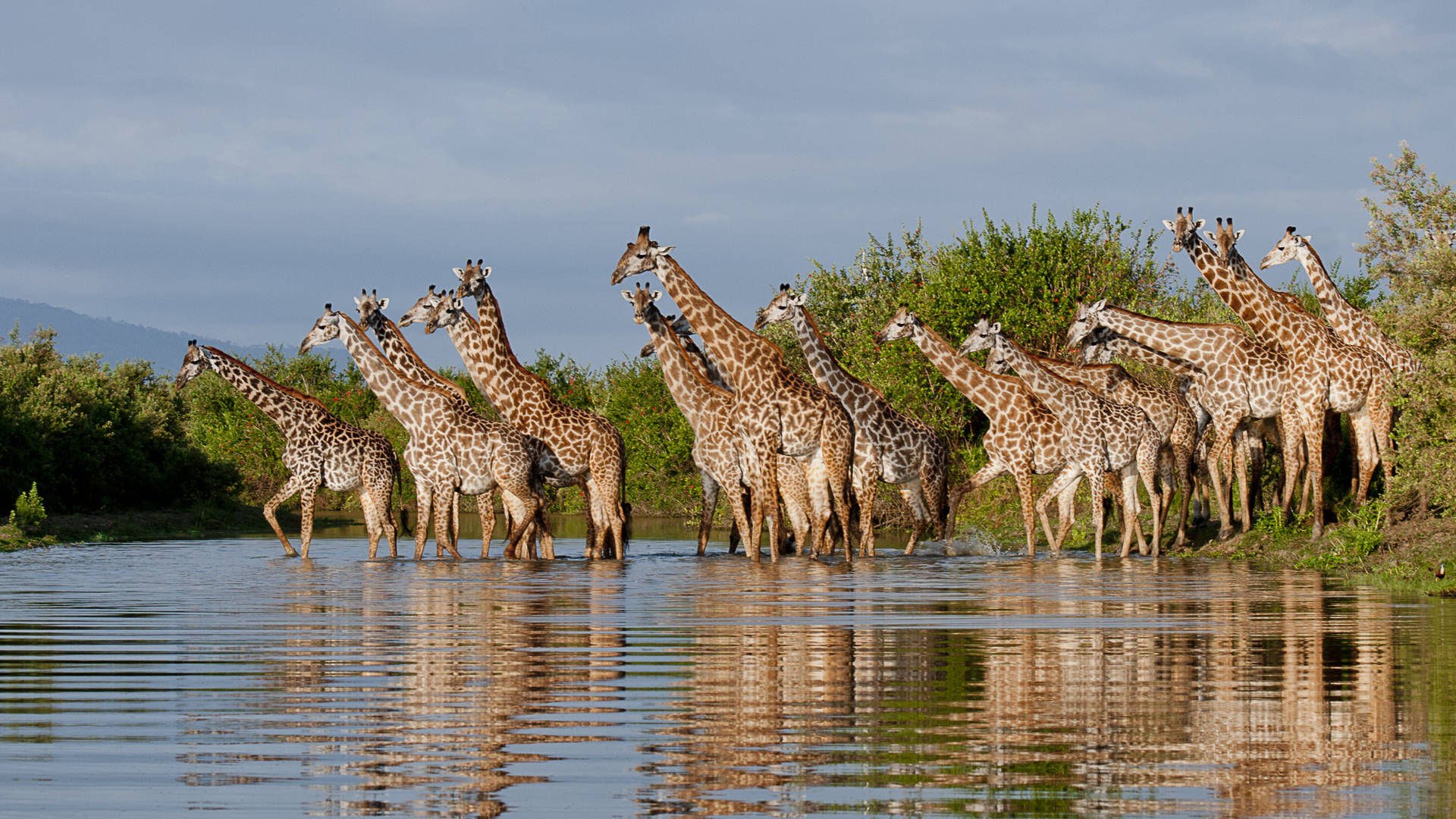 3-Day Nyerere National Park Safari from Dar es Salaam